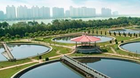 中国4688美高梅集团(股份)有限公司-官方网站